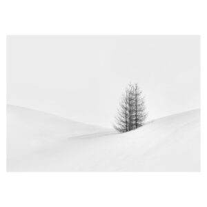 Print: Echoes of Winter (Limited Edition)