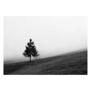 Print: October Fog (Limited Edition)