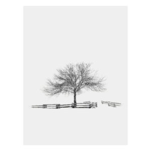 Print: Snowfall (Open Edition)