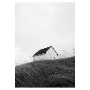 Print: Swept by the Wind (Limited Edition)
