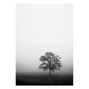 Print: When Autumn Comes (Limited Edition)